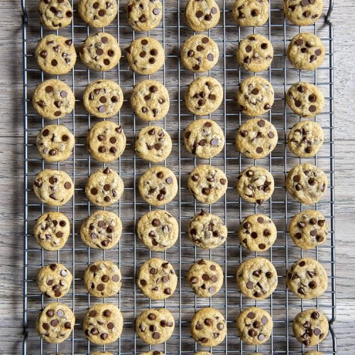 Mini Chocolate Chip Cookies