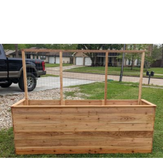 Large Raised Bed with Trellis