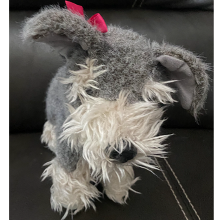 Schnauzer