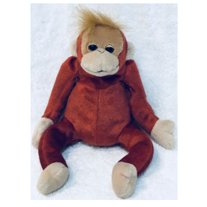 Schweetheart the Orangutan Main Image