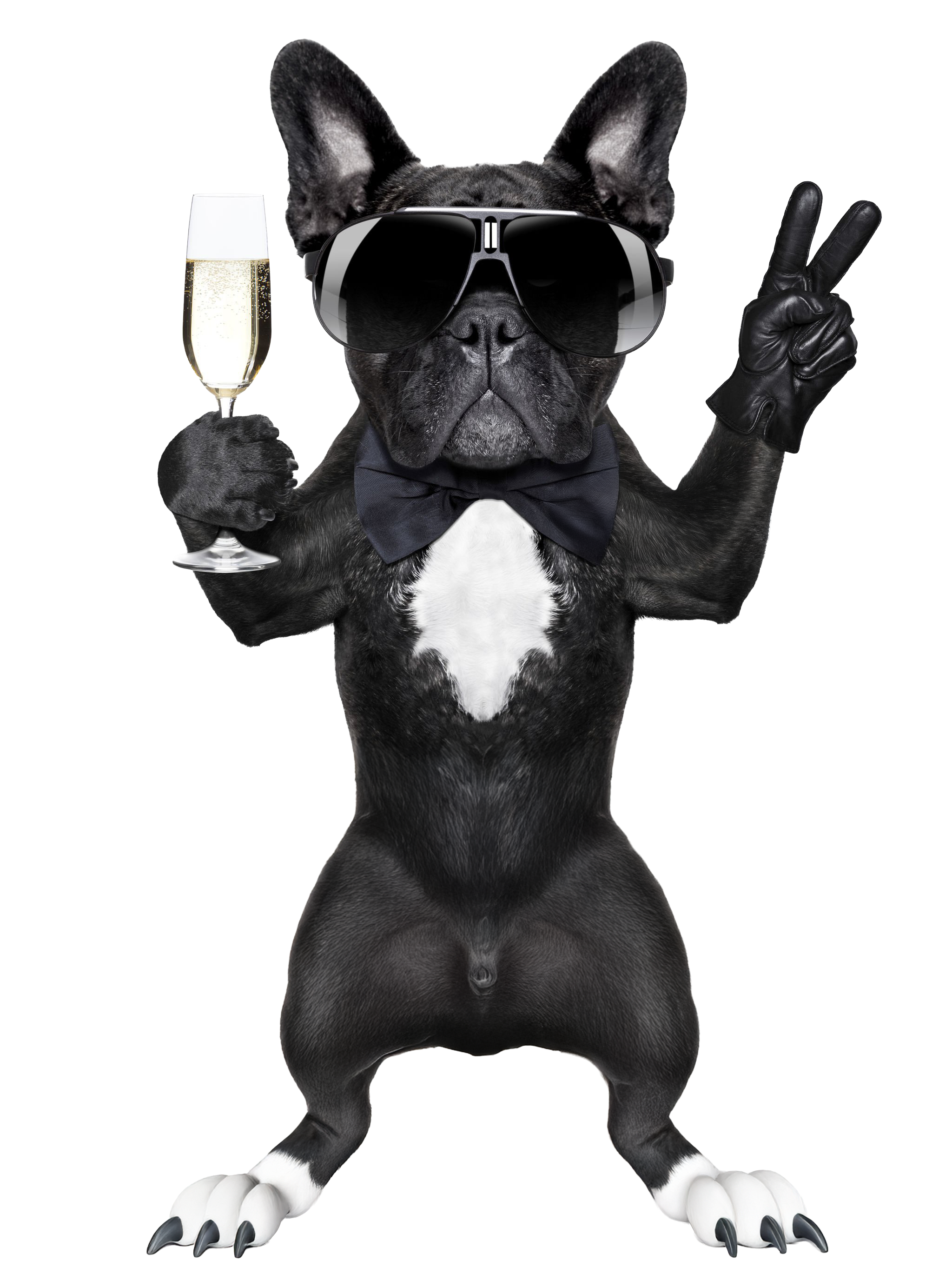 Happy CH Day 🎄 - Banner