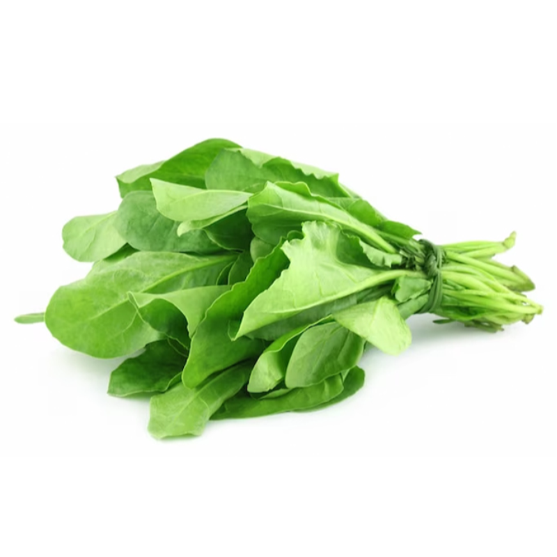 Spinach Main Image