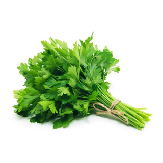 Cilantro 