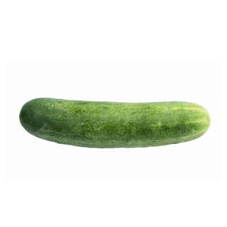 Cucumber