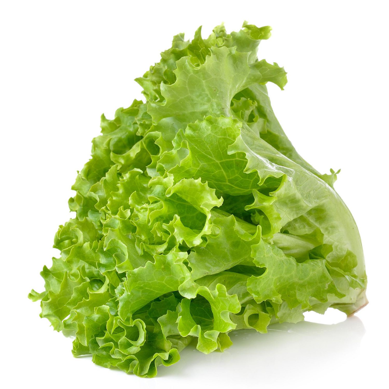 Lettuce Main Image