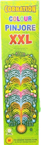 CORNATION XXL PINJORE(JUMBO POTS)(1BOX) - STANDARD