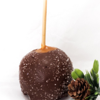 Dark Chocolate Sea Salt Caramel Apple 