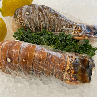 South American Lobster Tails (Frozen) 4oz