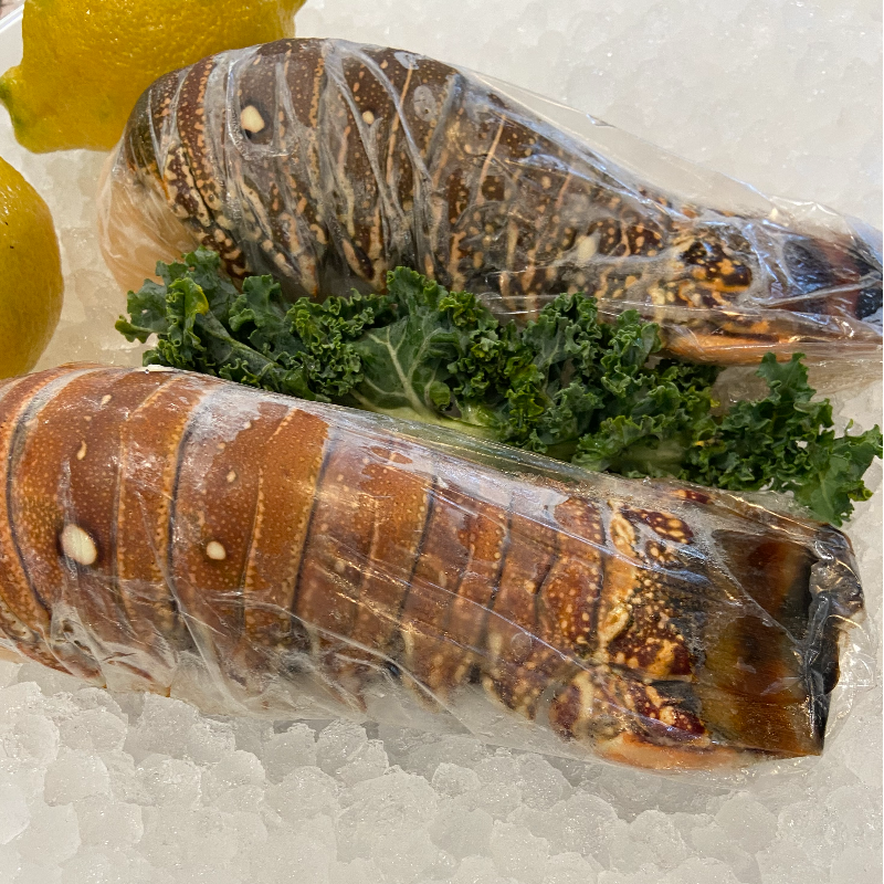 South American Lobster Tails (Frozen) 4oz Main Image