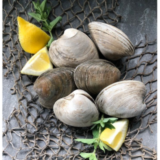 Topneck Clams WHOLE