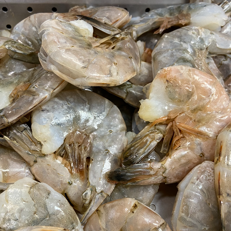 Shrimp Jumbo Raw (Cleaned shell on) Main Image