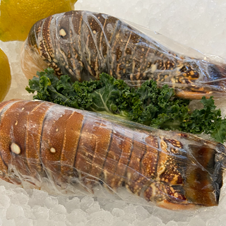 South American Lobster Tails (Frozen) 12oz