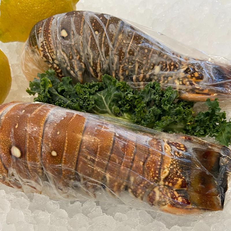 South American Lobster Tails (Frozen) 12oz Main Image