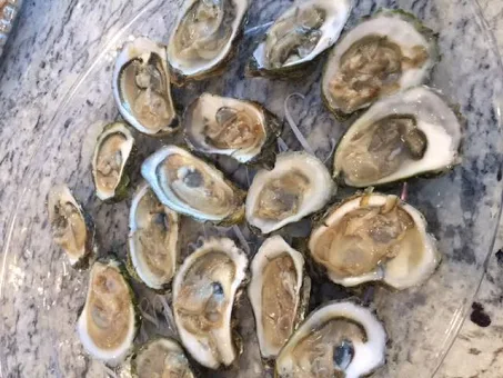 Bluepoint Oysters WHOLE