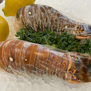 South American Lobster Tails (Frozen) 8oz