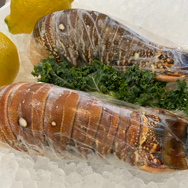 South American Lobster Tails (Frozen) 8oz Main Image