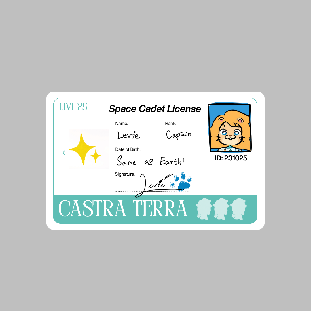 E-money: Space Cadet License