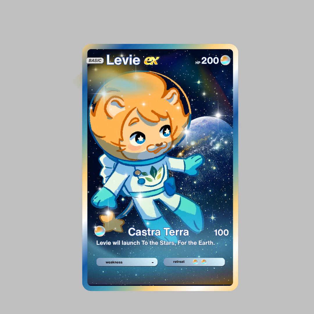 E-money: Levie's Gamecard