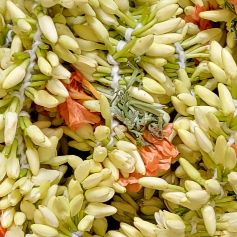 Mullai Kadhbham  Strings - 5 feet in length - Sourced from India