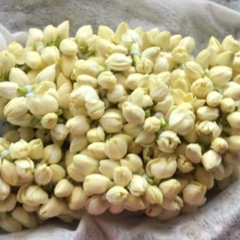 Jasmine Strings 5 feet in length - Sourced from India