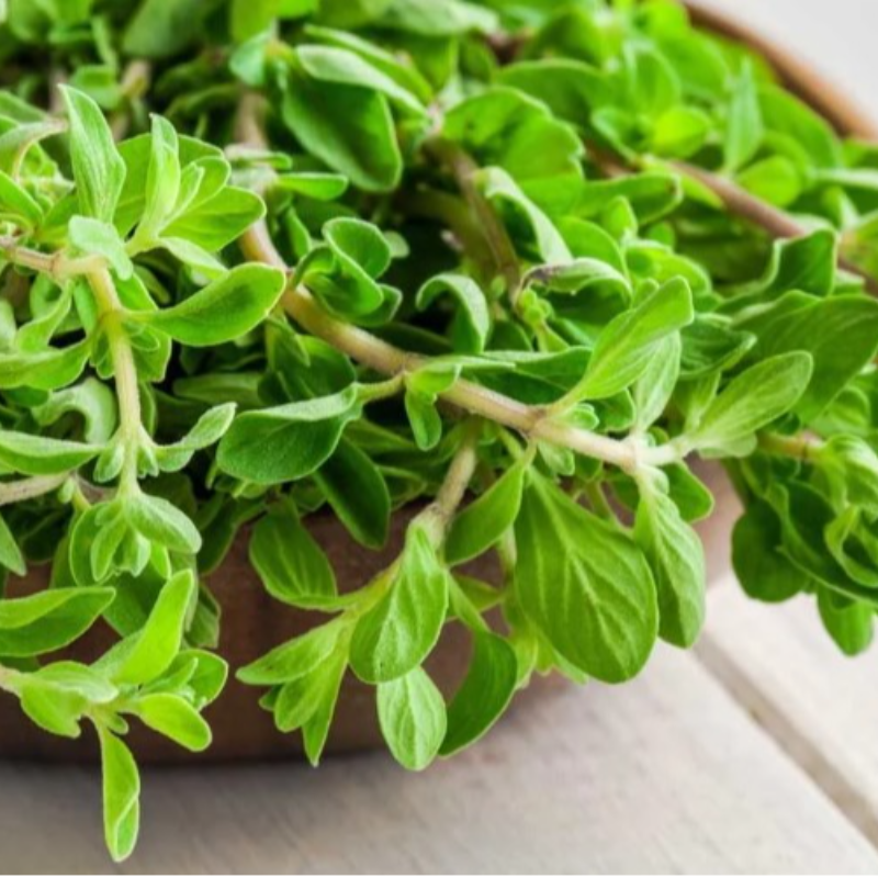 Maruvam 100 gms pack 