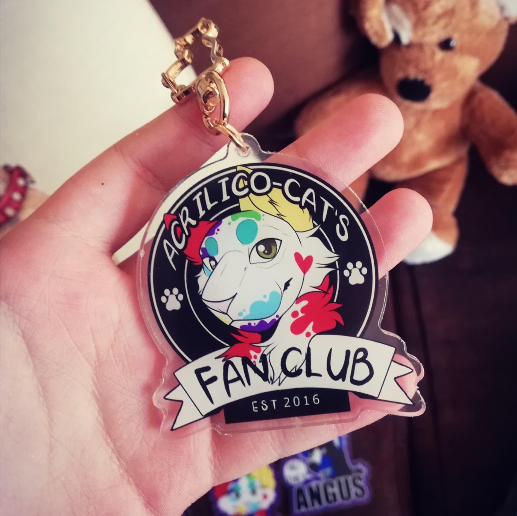 Acrilico's Fan club Main Image