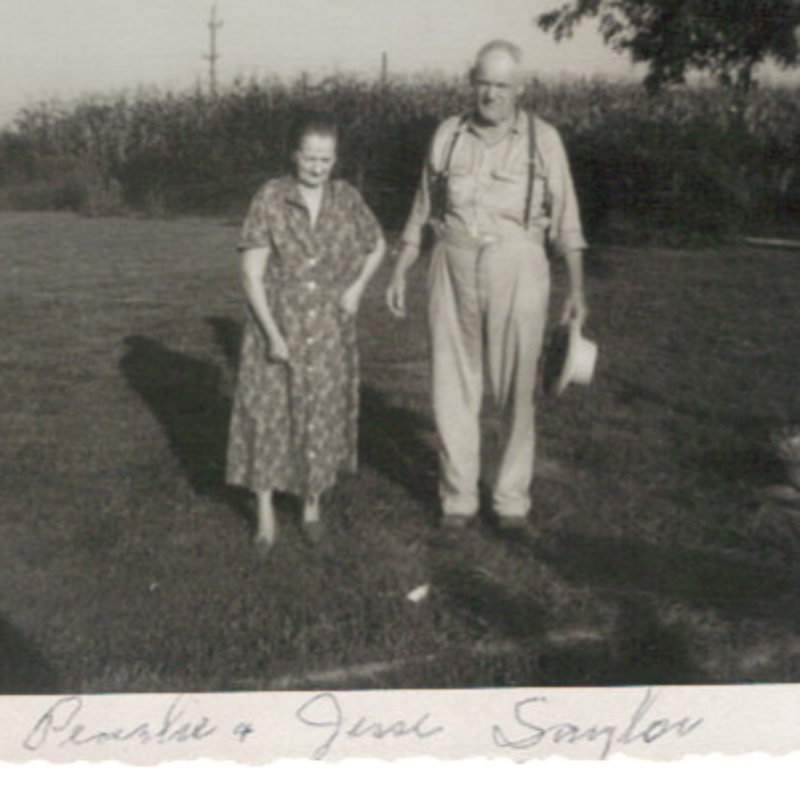 Lithium Sunset Tomato