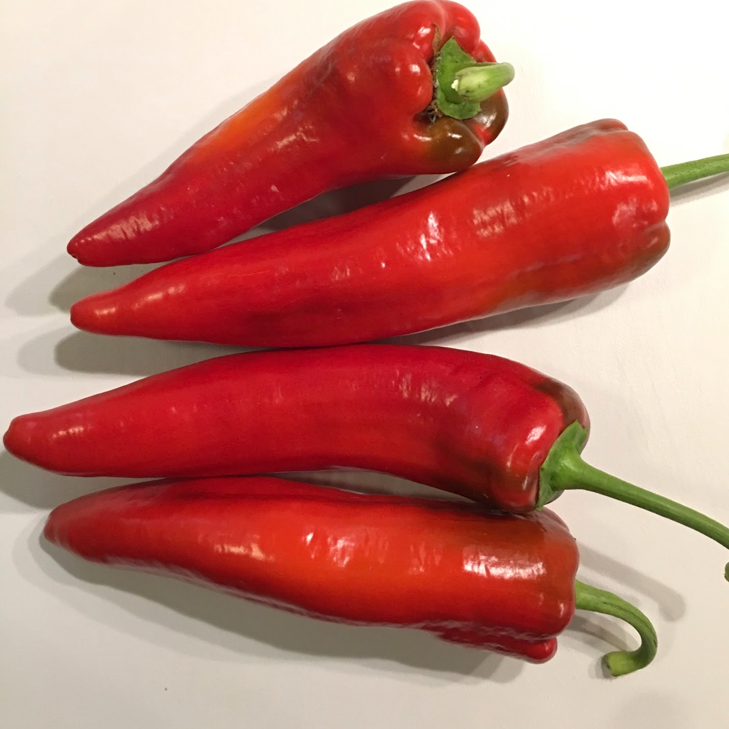 D'Amico Sweet Pepper