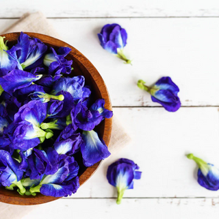 FLOWER BUTTERFLY PEA
