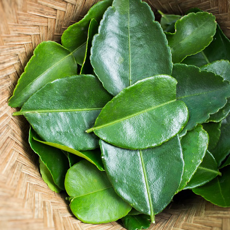 LIME LEAVES (KAFFIR LEAVES)