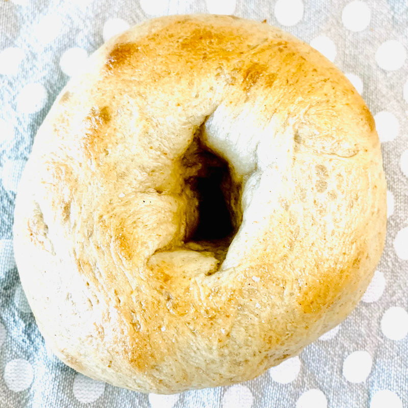 Plain Bagel 5 Pack Main Image