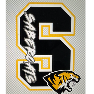 Saguaro S logo with cat head