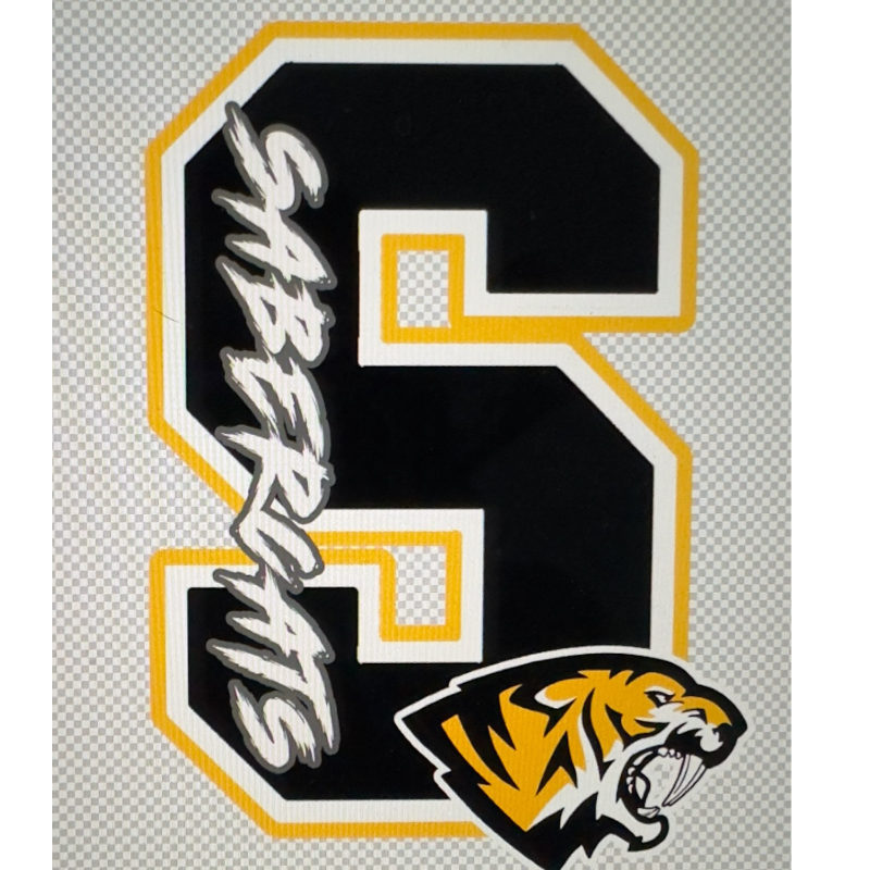 Saguaro S logo with cat head Main Image