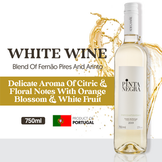 ADE-PN-002-A Adegamae Pinta Negra Branco White Wine 2021 750ML