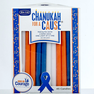 Chanukkah for a Cause: Kids for COurage Image