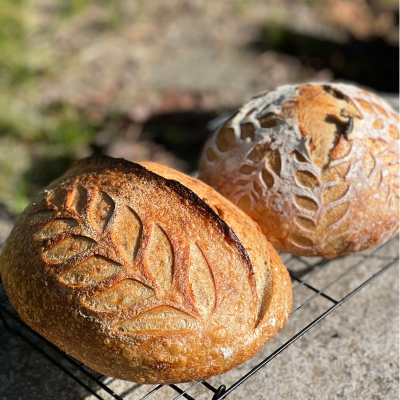 Sourdough Bread - Maple
