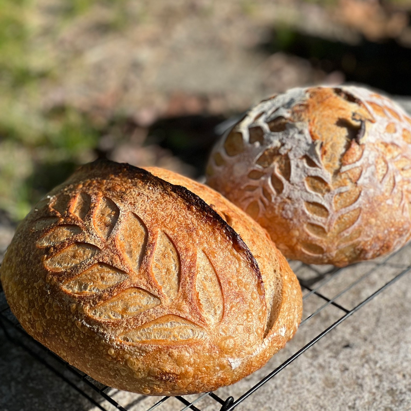 Sourdough Bread - Cinnamon
