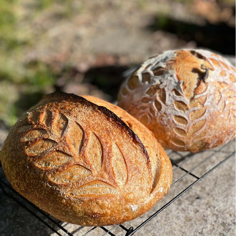 Sourdough Bread - Classic