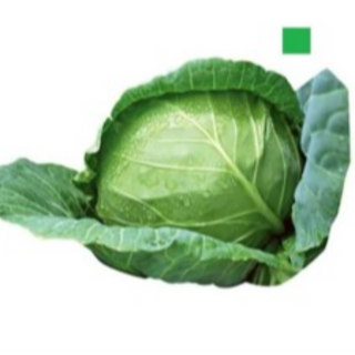 CABBAGE (पत्ता गोभी) (500 gms)