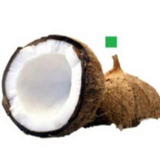 BIG COCONUT (बड़ा नारियल)