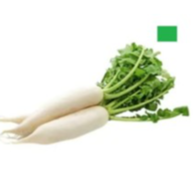 RADDISH WHITE (मूली सफेद) (500 gms)