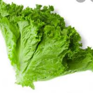 Lettuce (head)