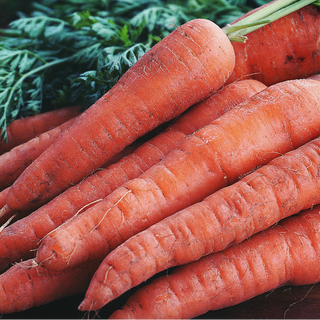 Carrots (bunch of 3-4)