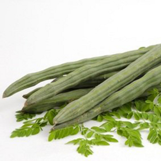 Moringa - सरगवा@ 40 / 250gm