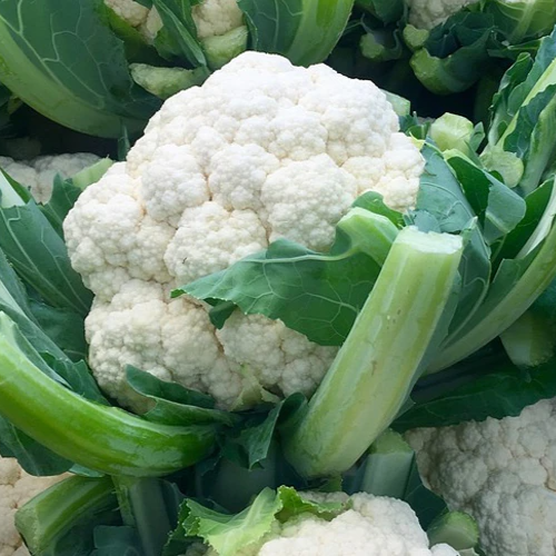 Cauliflower - फूलगोभी@ 60 / pcs (1 Pcs 400 gm - 600 gm aprox.)