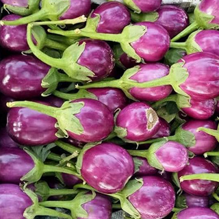 Brinjal Surati - बैंगन रवैया@ 25 / 250gm