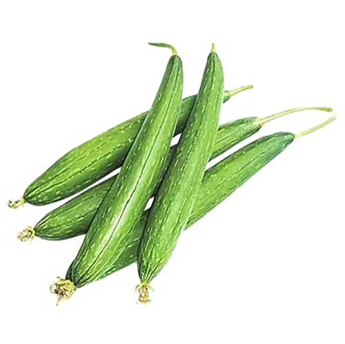 Sponge Gourd- गलका@ 50 / 500gm