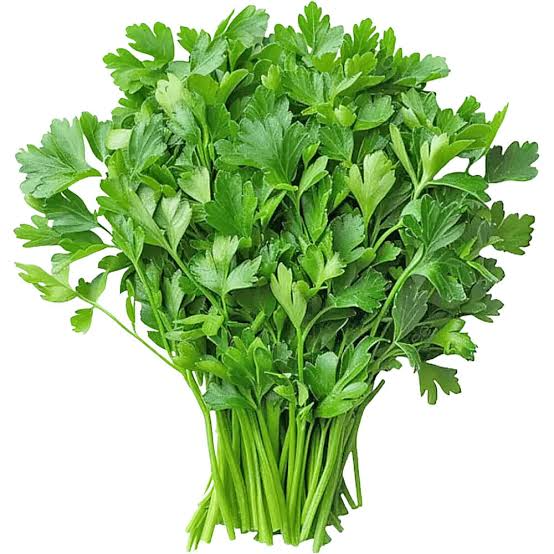 Coriander - धनिया@ 20 / Pack (Pack of 100gm aprox.)