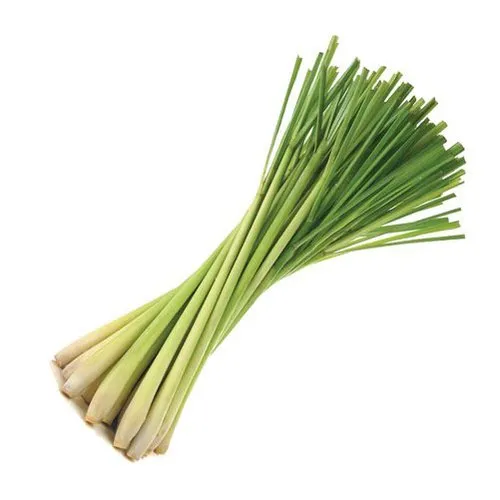 Lemongrass - लेमनग्रास@20/Pack (Pack of 100gm aprox.)