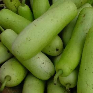 Bottle gourd - लौकी@ 40 / 500gm